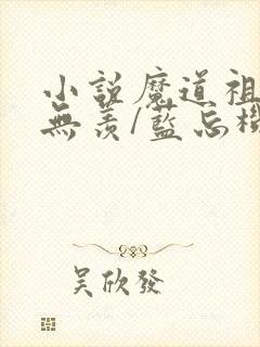 小说魔道祖师魏无羡/蓝忘机