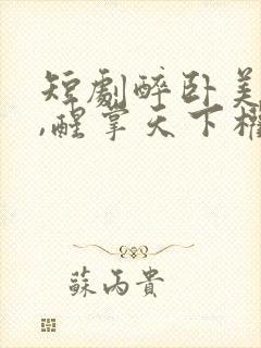 短剧醉卧美人膝,醒掌天下权
