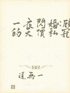 一夜闪婚:顾少的天价私宠