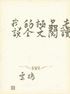 我的极品老婆小说全文阅读免费