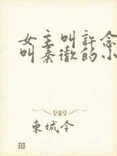 女主叫许念男主叫秦彻的小说