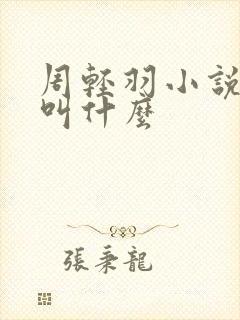 周轻羽小说主角叫什么