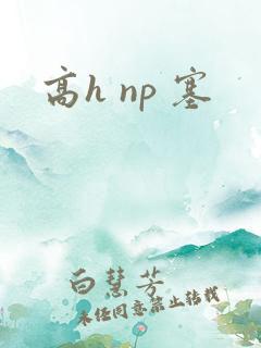 高h np 塞