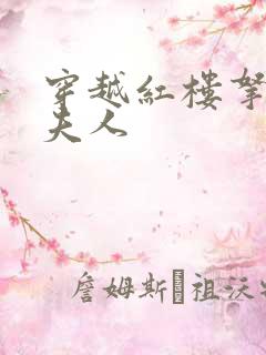穿越红楼拿下王夫人