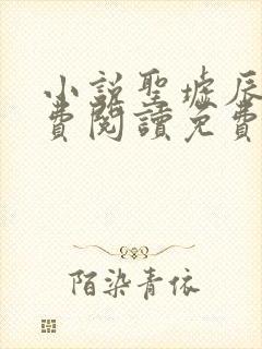 小说圣墟辰东免费阅读免费