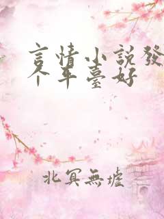 言情小说发布哪个平台好
