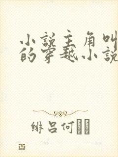 小说主角叫苏辰的穿越小说