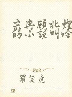 宋冉顾北煜苏月的小说叫啥