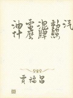 油电混动汽车上什么牌照