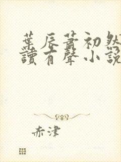 叶辰萧初然免费读有声小说
