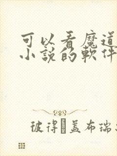 可以看魔道祖师小说的软件