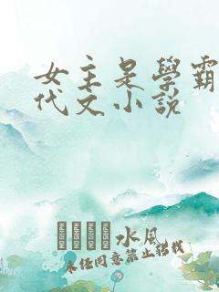 女主是学霸的年代文小说