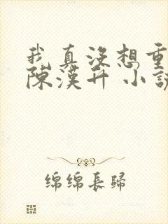 我真没想重生啊陈汉升 小说