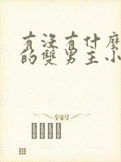 有没有什么好看的双男主小说