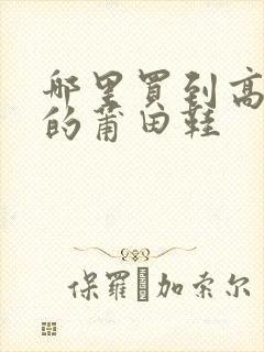 哪里买到高品质的莆田鞋