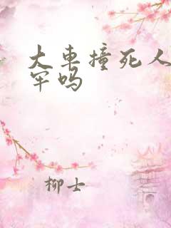 大车撞死人会坐牢吗