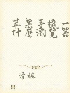 苹果手机一般用什么浏览器比较好