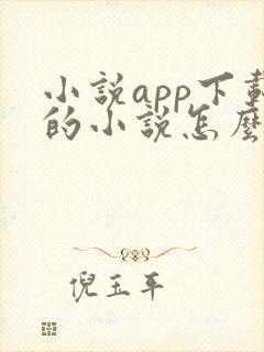 小说app下载的小说怎么导出
