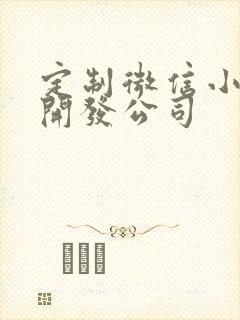 定制微信小程序开发公司 定制微信小程序开发公司