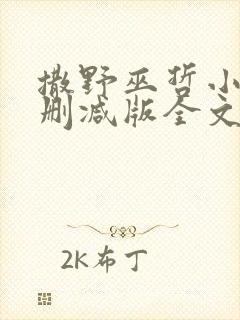 撒野巫哲小说无删减版全文免费阅读