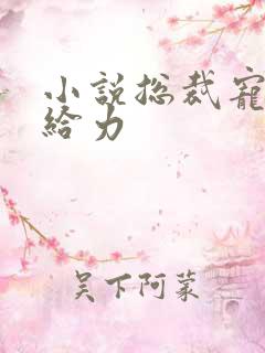 小说总裁宠妻太给力