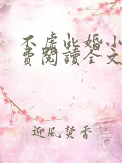 不虚此婚小说免费阅读全文