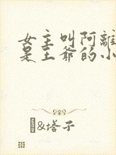 女主叫阿离男主是王爷的小说