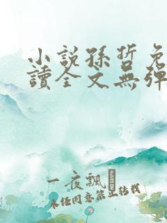 小说孙哲免费阅读全文无弹窗
