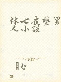 林七夜双男主同人小说