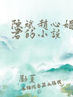 陈斌赵心媚高婉君的小说