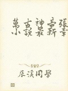 万古神帝张若尘小说最新章节列表