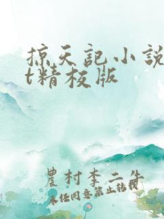 掠天记小说txt精校版