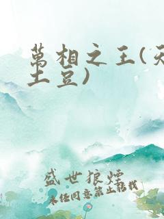 万相之王(天蚕土豆)