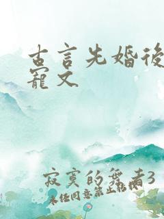 古言先婚后爱肉宠文