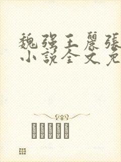 魏强王丽张娜的小说全文免费阅读