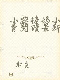 小黎后妈小说免费阅读最新章节更新