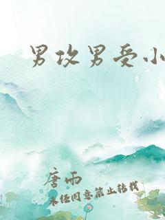 男攻男受小说h