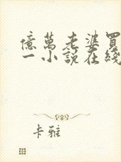 亿万老婆买一送一小说在线阅读