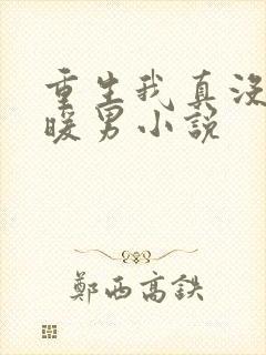 重生我真没想当暖男小说