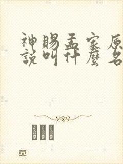 神赐孟家原著小说叫什么名字 神赐孟家原著小说叫什么名字