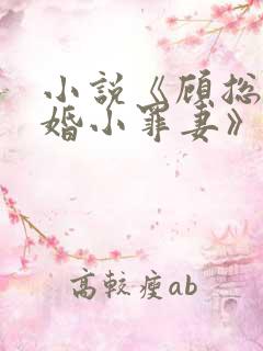 小说《顾总的隐婚小罪妻》