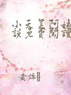 小天吴阿姨的小说免费阅读