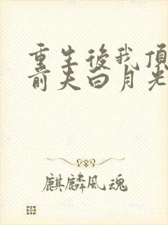 重生后我顶替了前夫白月光最新