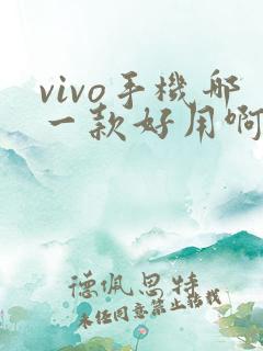 vivo手机哪一款好用啊在1500左右的