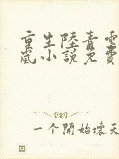 重生陆青云林若岚小说免费阅读