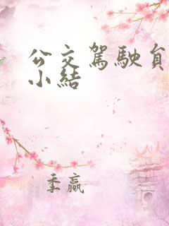 公交驾驶员工作小结