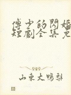 傅少的闪婚甜妻短剧全集免费