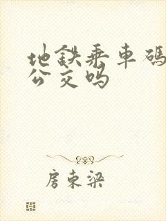 地铁乘车码能坐公交吗