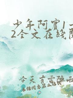 少年阿宾1一72全文在线阅读