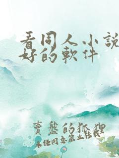 看同人小说比较好的软件